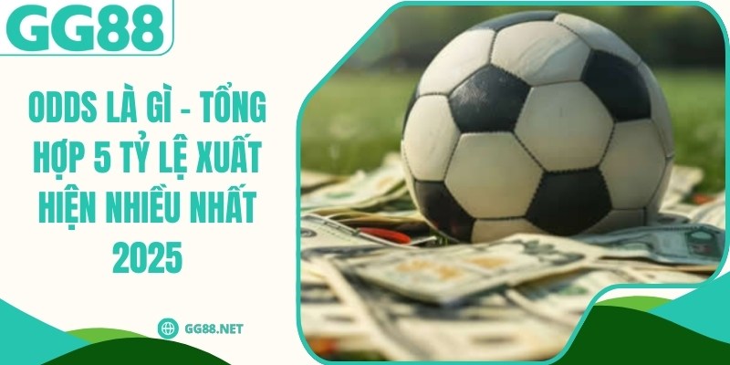 ODDS Là Gì - Tổng Hợp 5 Tỷ Lệ Xuất Hiện Nhiều Nhất 2025