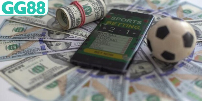 Nhà cái trang bị kiến thức bài bản cho hội viên